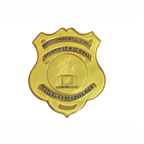 Dirección de Inteligencia y Seguridad